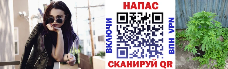 даркнет сайт  МЕГА ссылки  Бошки марихуана OG Kush  Заозёрск 